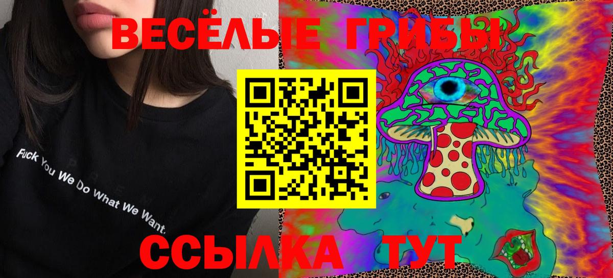 Псилоцибиновые грибы мухоморы  Вход с VPN  Красногорск 